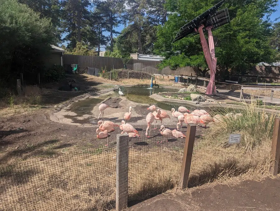 Tracy Aviary at Liberty Park